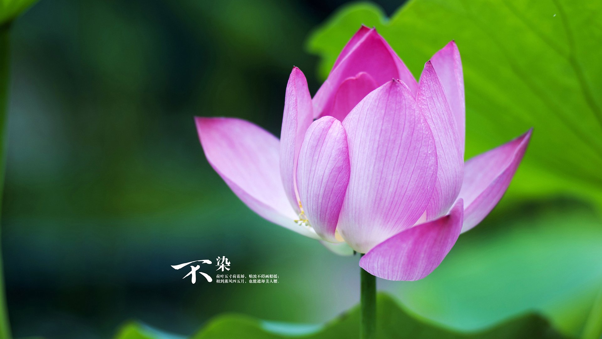 中超球队年度战术调整成功率排行榜,中超梯队要求